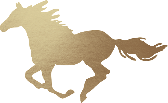 Gary the Horse